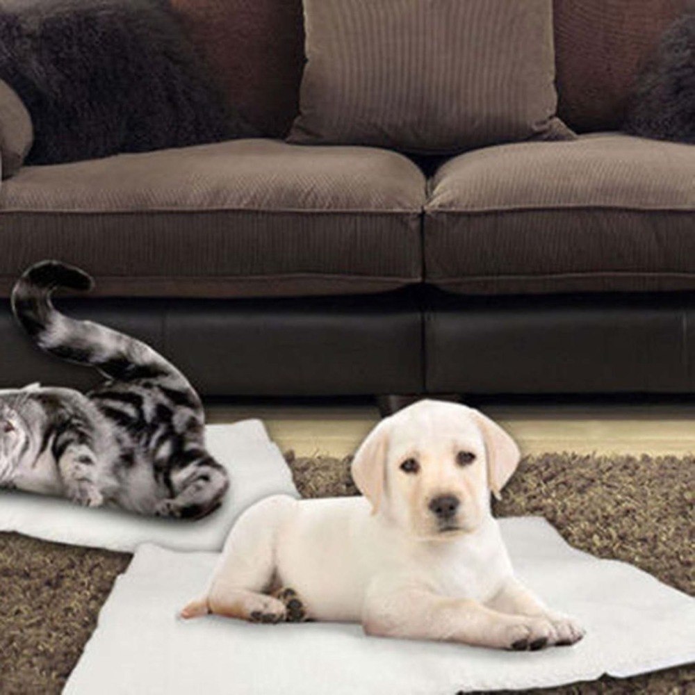 Self-Warming Pet Mat — No Electricity