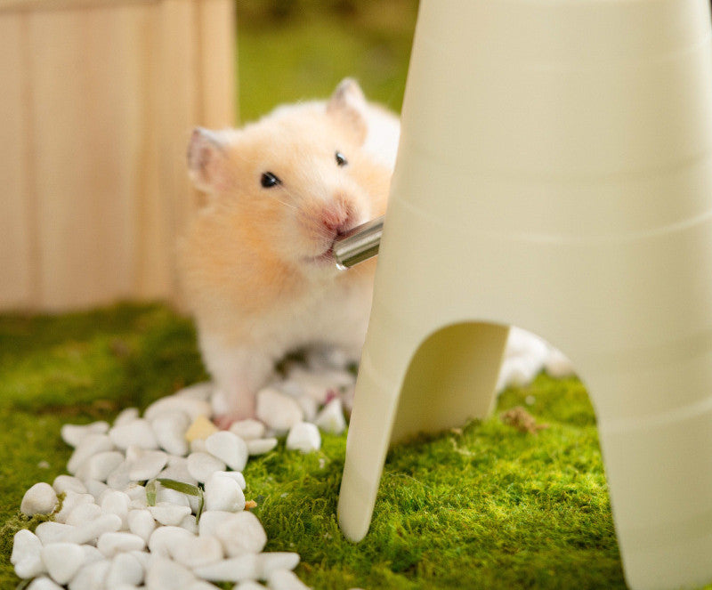 Free-Standing Hamster Water Bottle — 150 ml