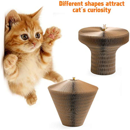 Round Cardboard Cat Scratcher Bed