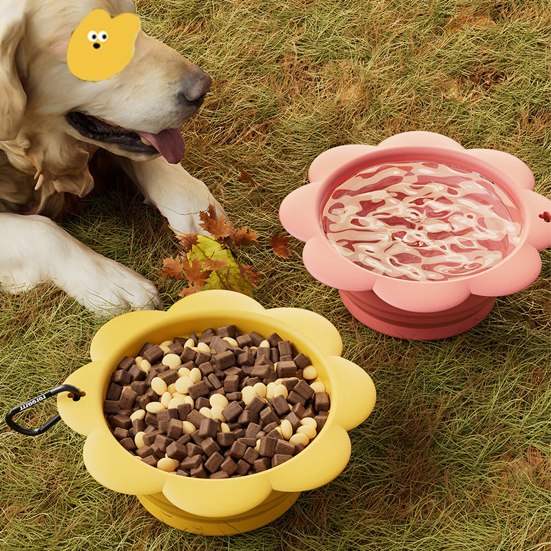 Dog next to travel bowls with food