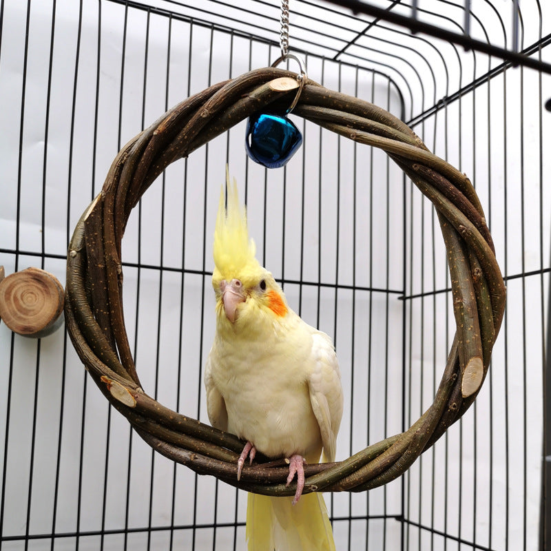 Cockatiel sitting in the apple-wood ring swing