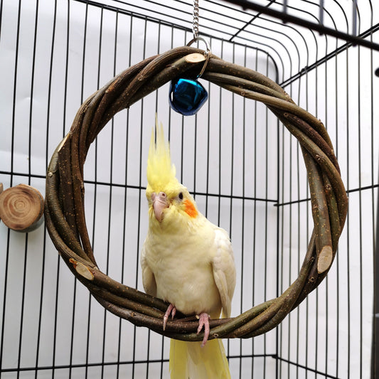 Cockatiel sitting in the apple-wood ring swing