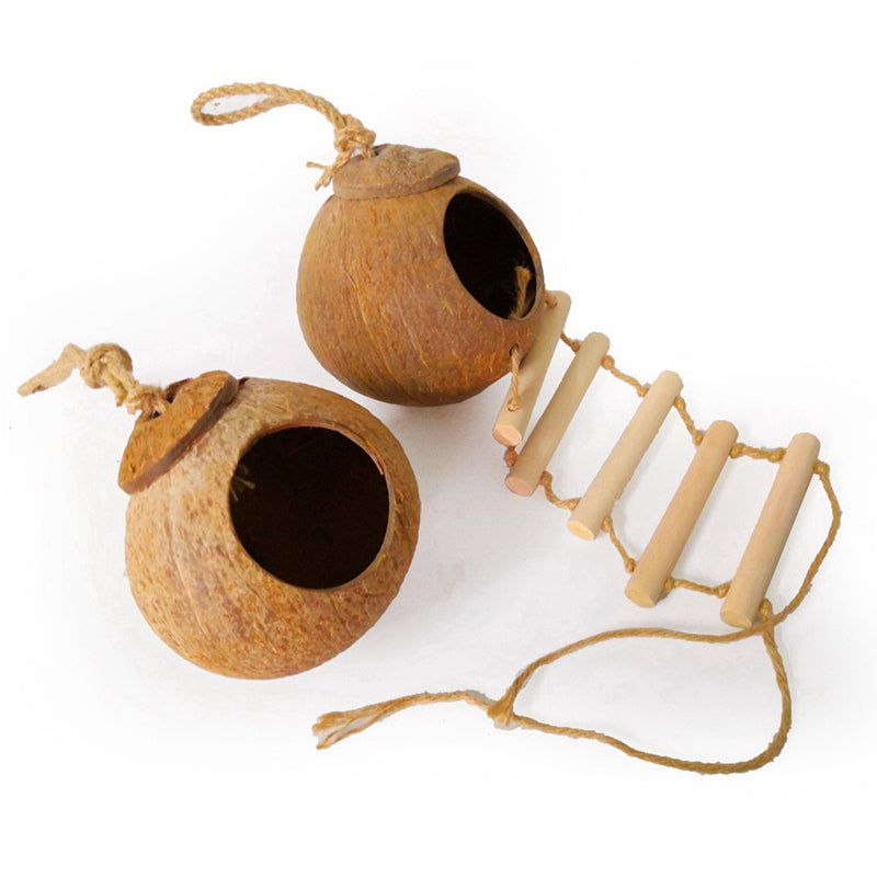 Coconut Shell Bird Nest with Ladder