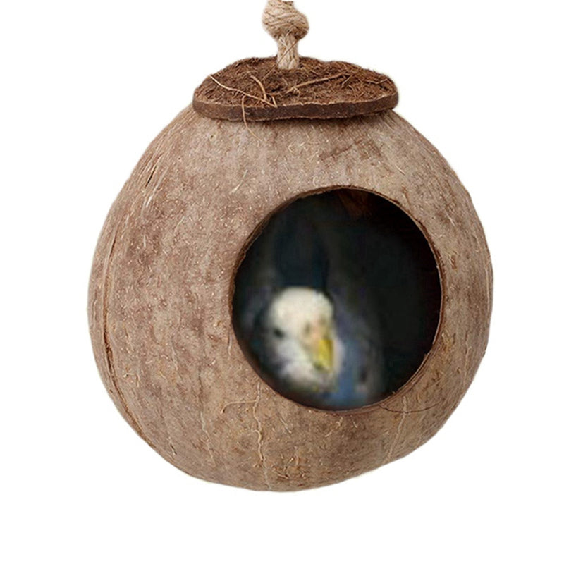 Coconut Shell Bird Nest with Ladder