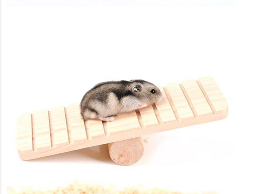 Hamster climbing the seesaw
