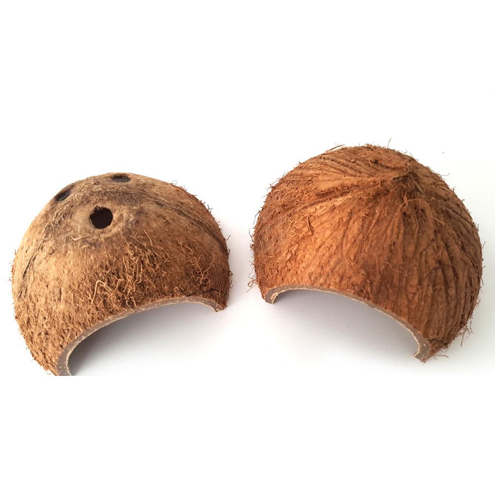 Natural Coconut Shell Caves — 2 Pack