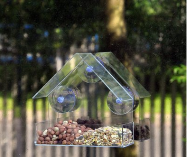 Clear Window Bird Feeder