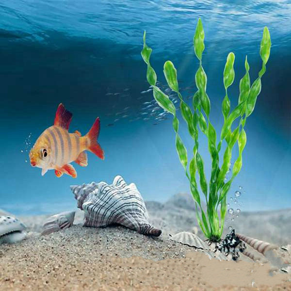 Aquarium plants detail