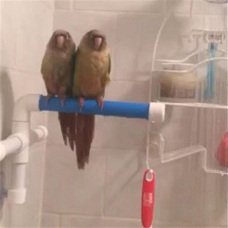 Fold-Flat Shower Perch for Birds