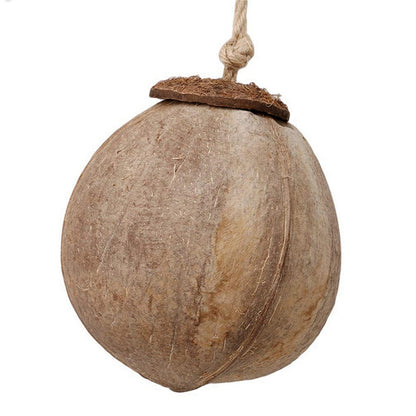 Coconut Shell Bird Nest with Ladder