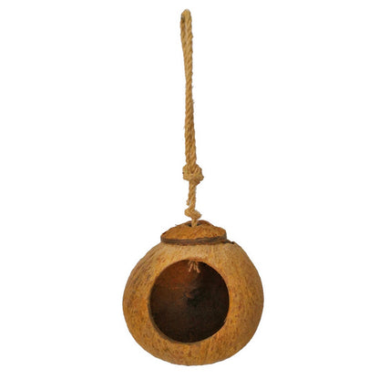 Coconut Shell Bird Nest with Ladder