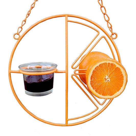 Hanging Oriole Fruit & Jelly Feeder