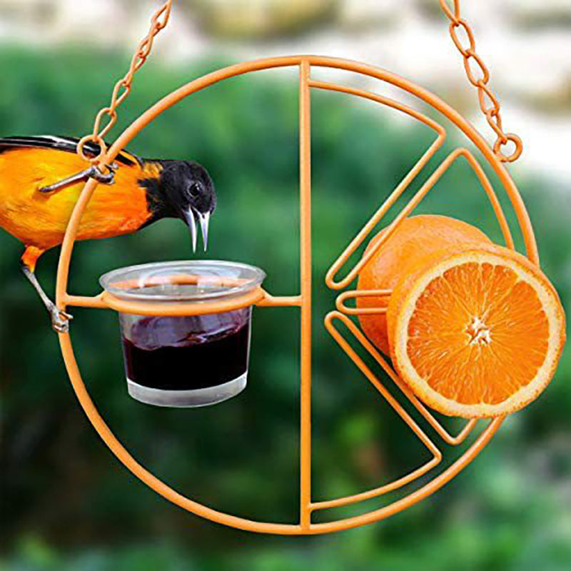 Hanging Oriole Fruit & Jelly Feeder