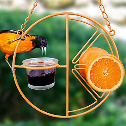 Hanging Oriole Fruit & Jelly Feeder