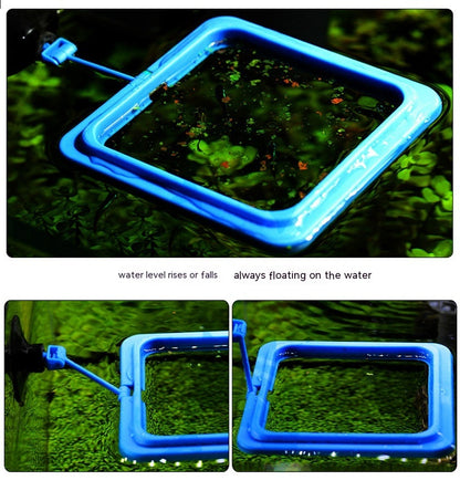 Feeding ring size