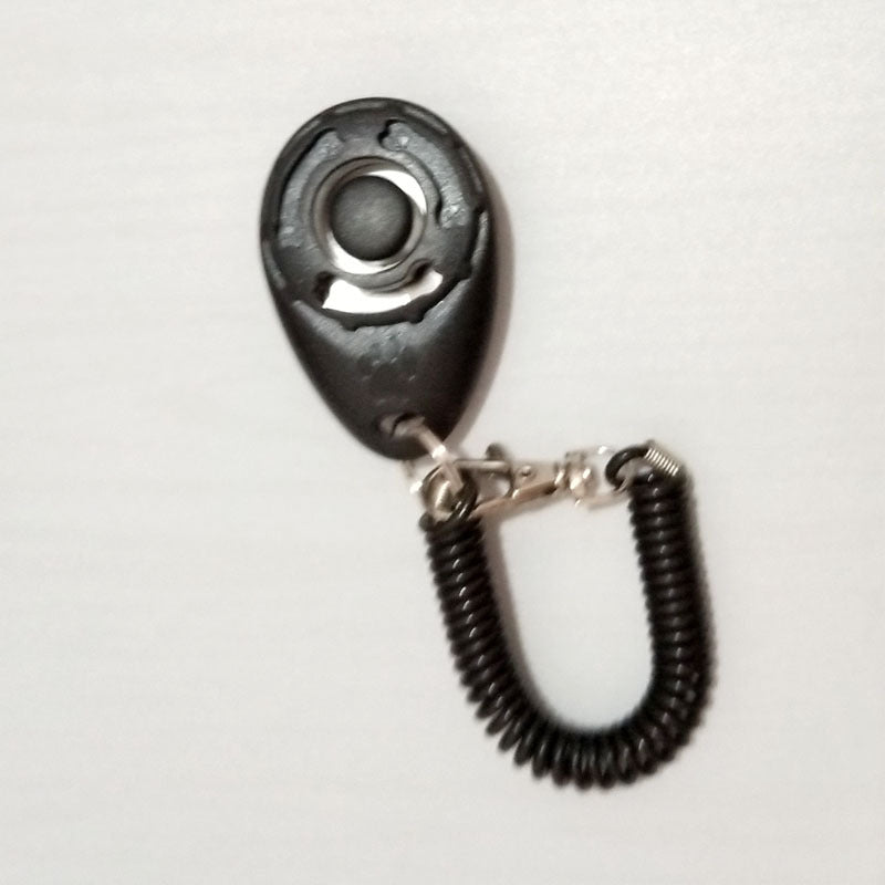 Training Clicker with Wrist Strap
