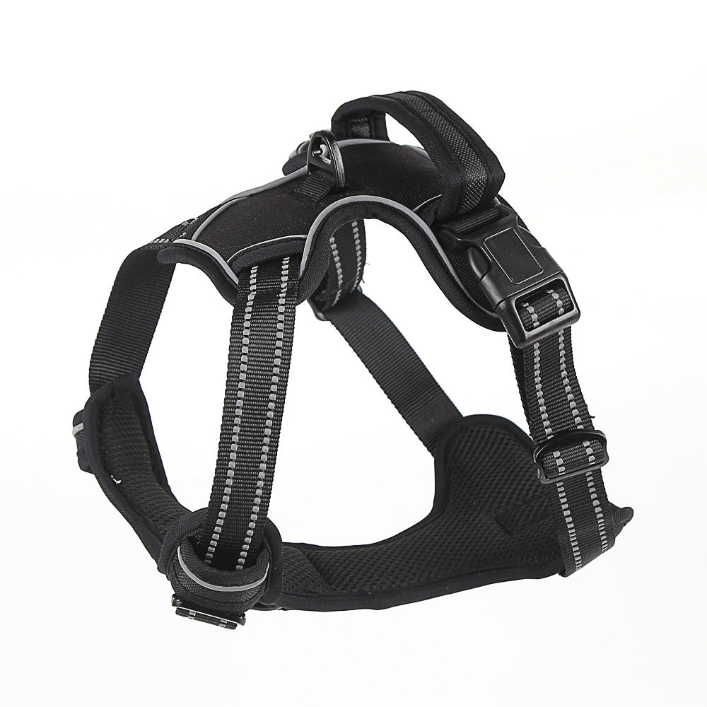 Dog harness detail