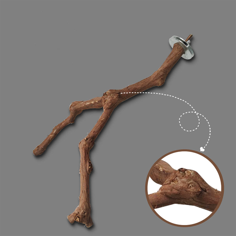 Natural Grapevine Perch for Bird Cages