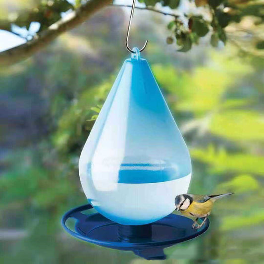 Hanging Teardrop Bird Feeder with Tray