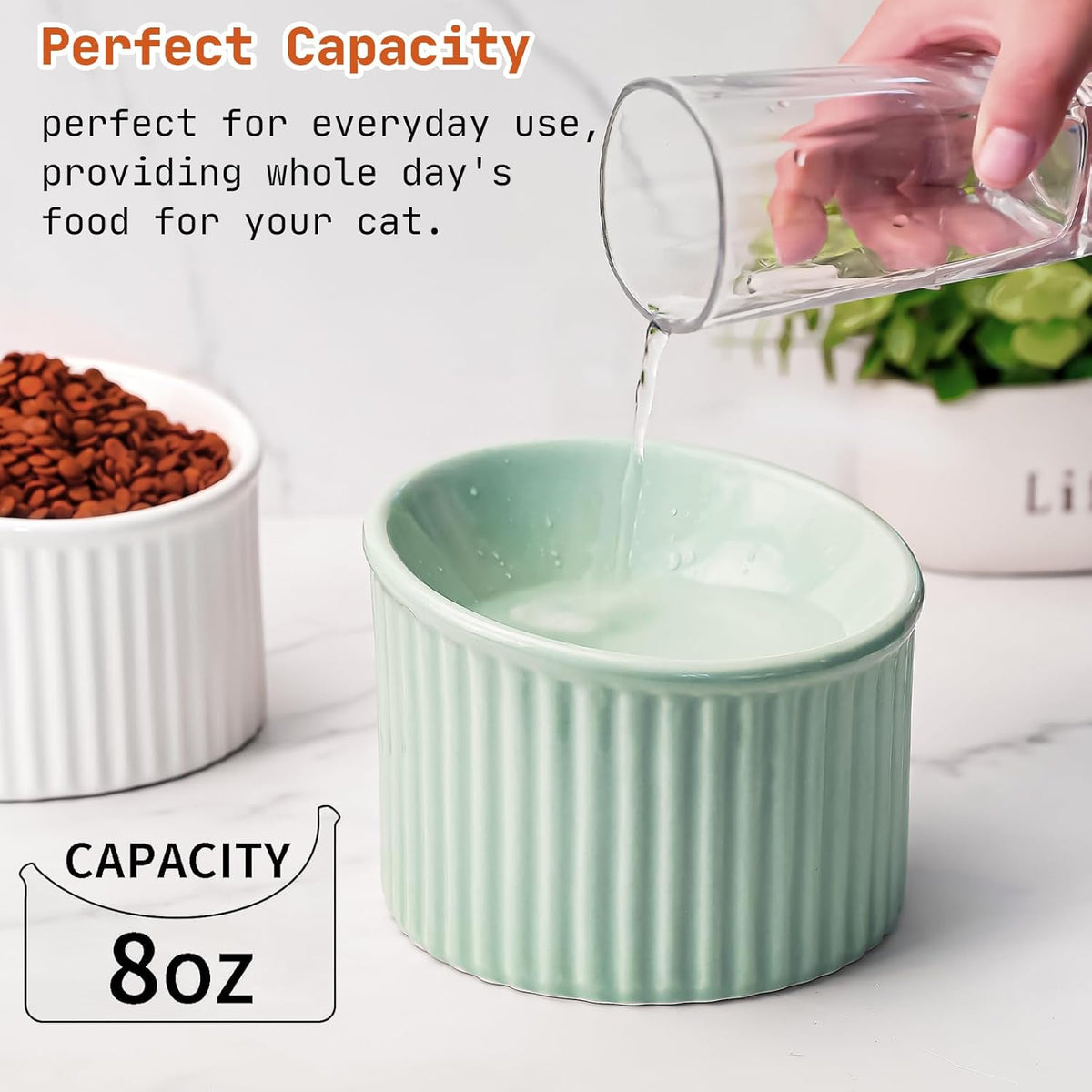 Elevated cat bowl detail