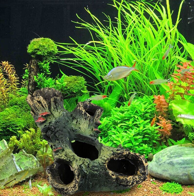 Aquarium driftwood with hide hole