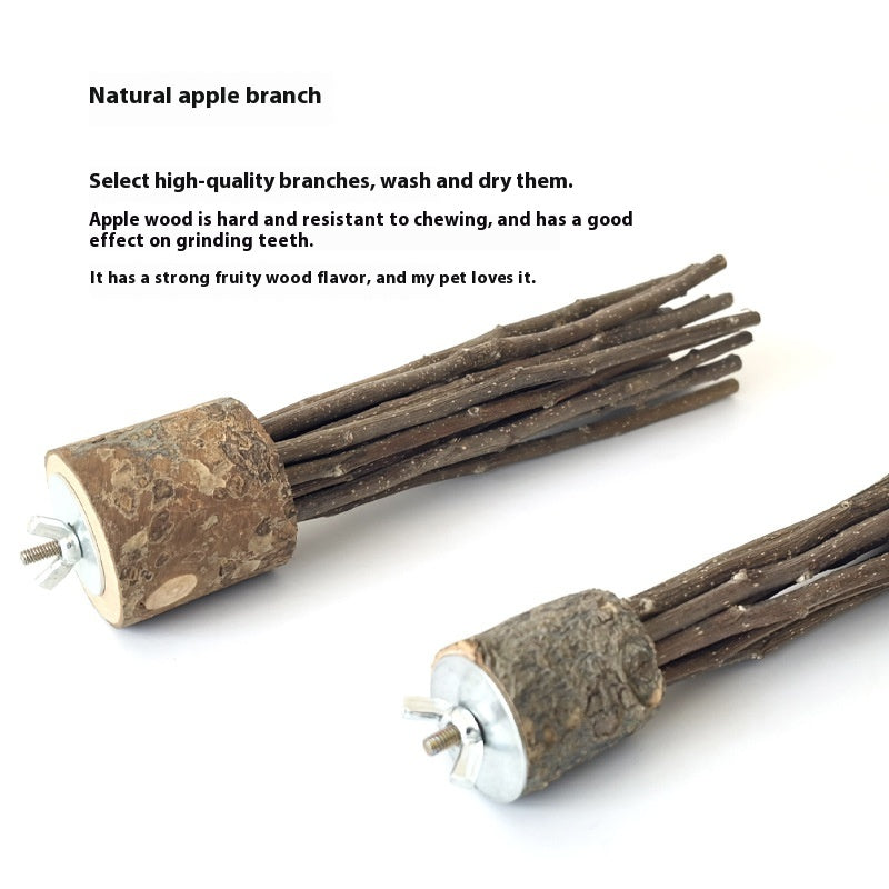 Natural apple branches