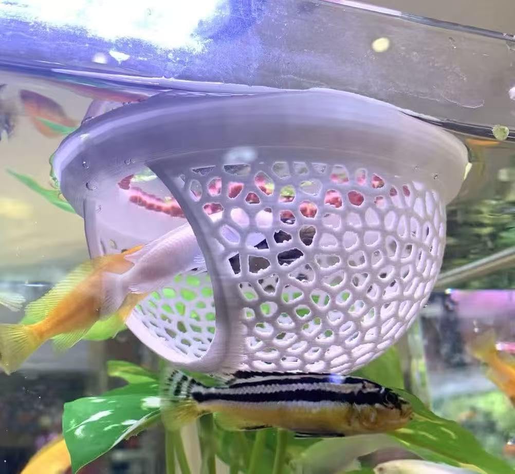 Floating betta hammock log, 2 pack