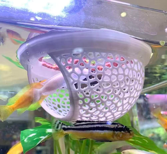 Floating betta hammock log, 2 pack
