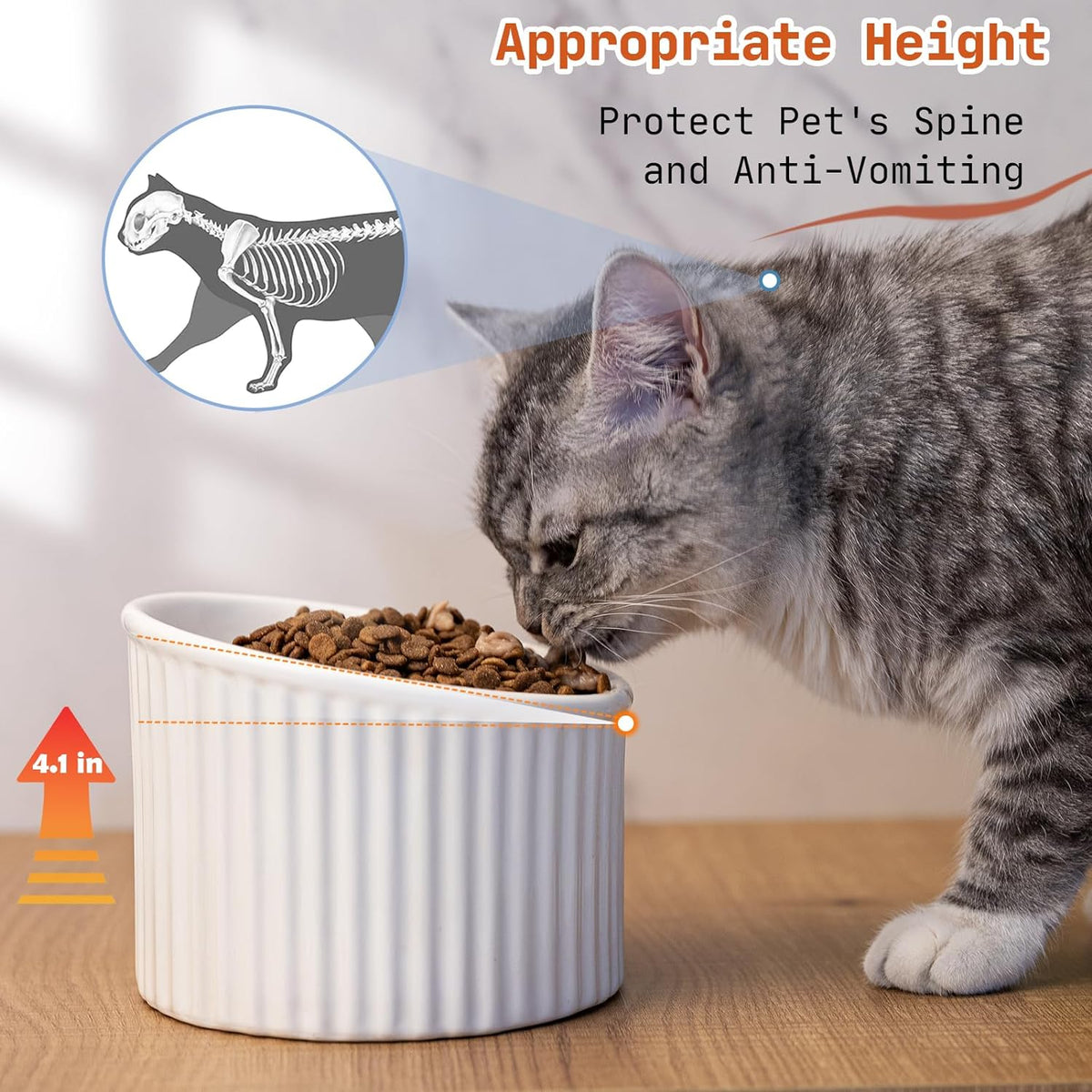 Elevated cat bowl colors