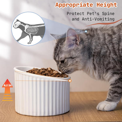 Elevated cat bowl colors