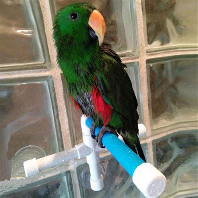 Fold-Flat Shower Perch for Birds