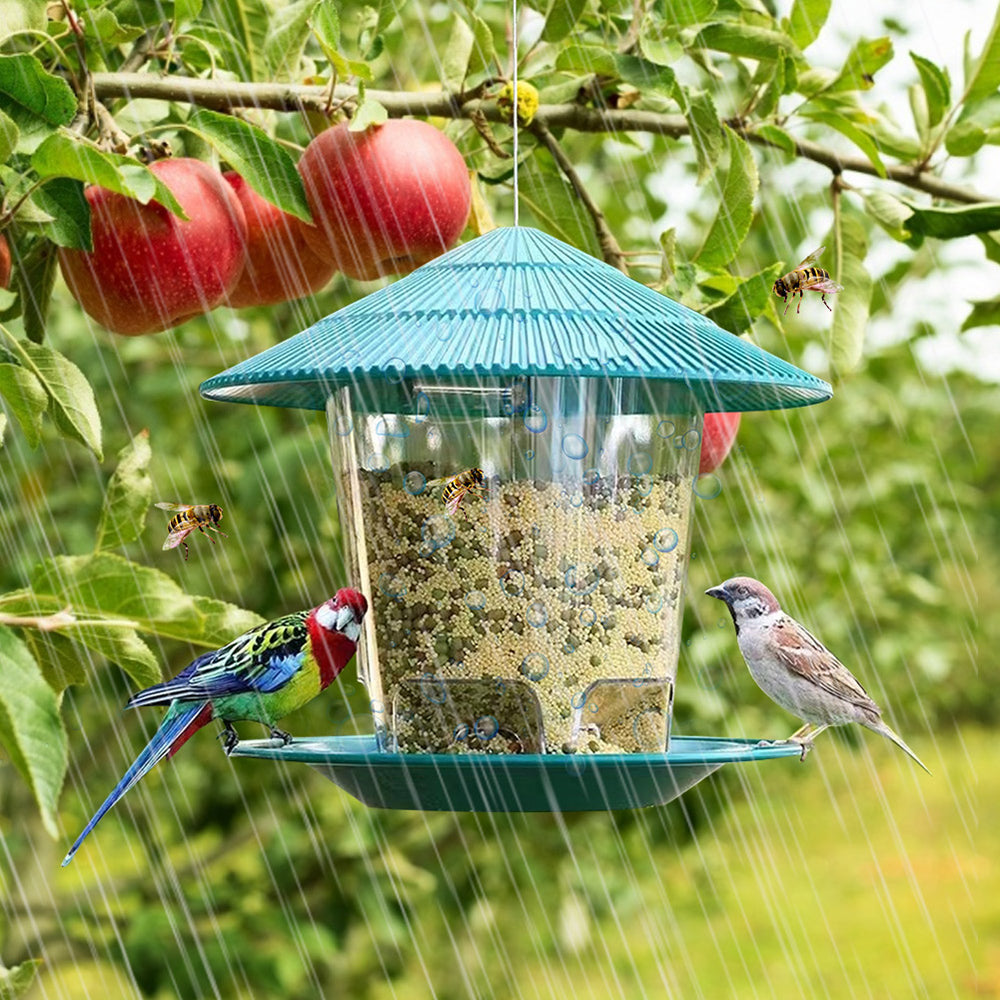 Lantern bird feeder hanging in a tree