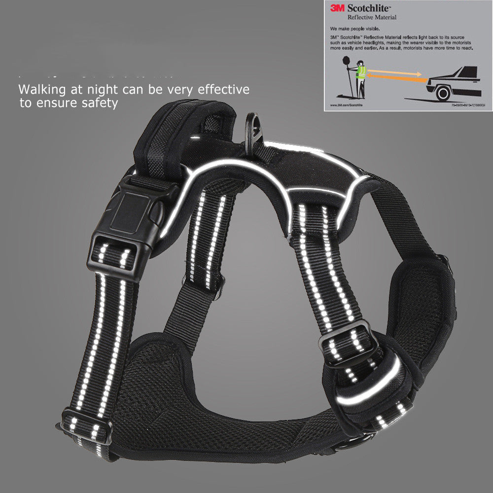 Dog harness detail