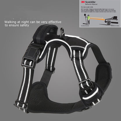 Dog harness detail