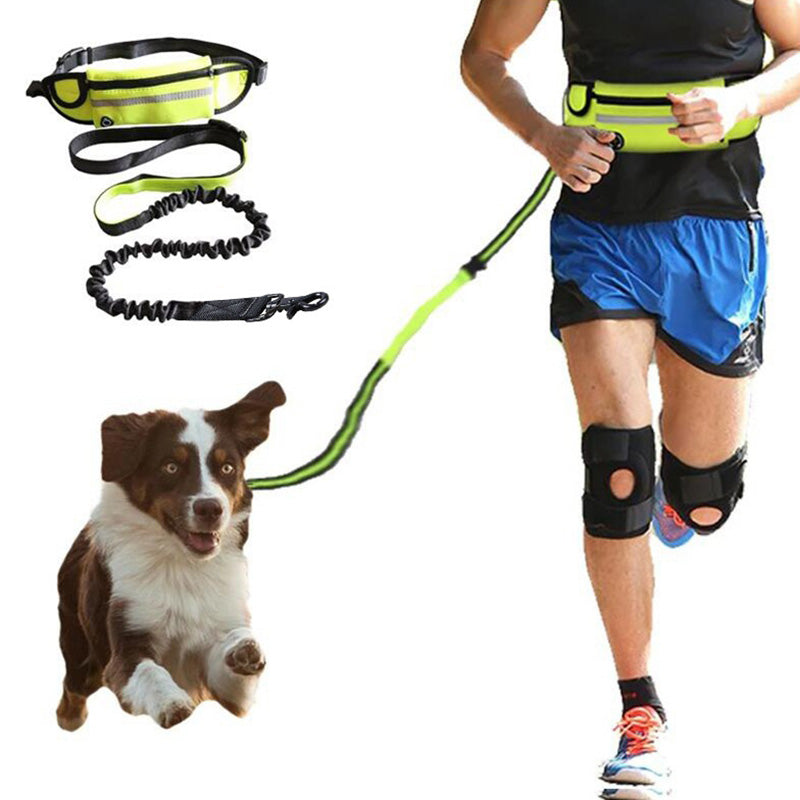 Hands-Free Running Leash with Waist Belt