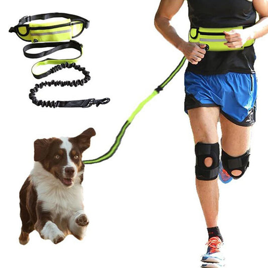 Hands-Free Running Leash with Waist Belt