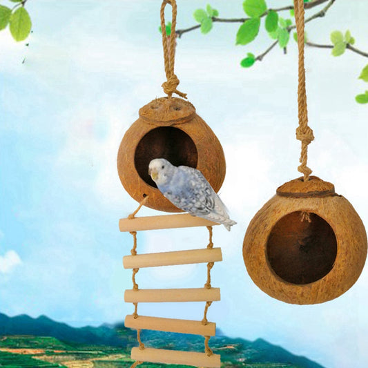 Coconut Shell Bird Nest with Ladder