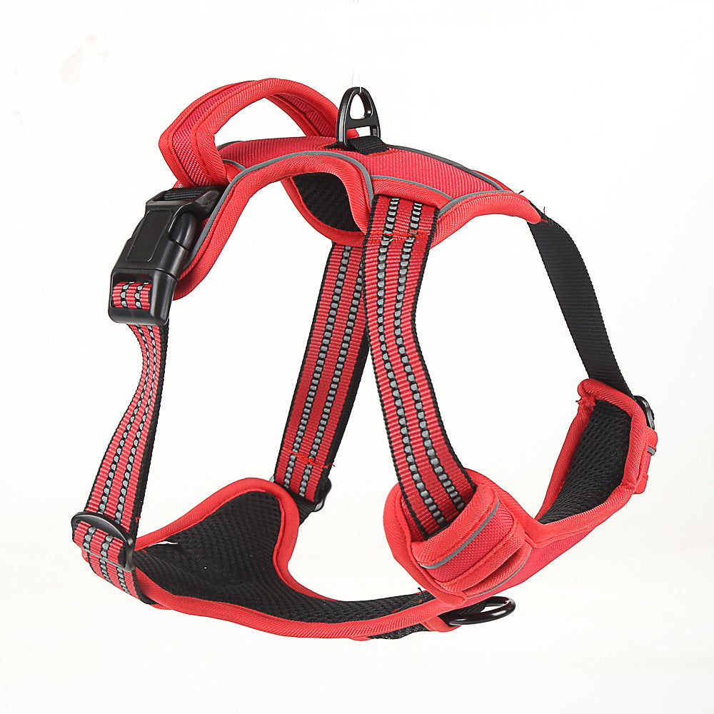 Dog harness detail
