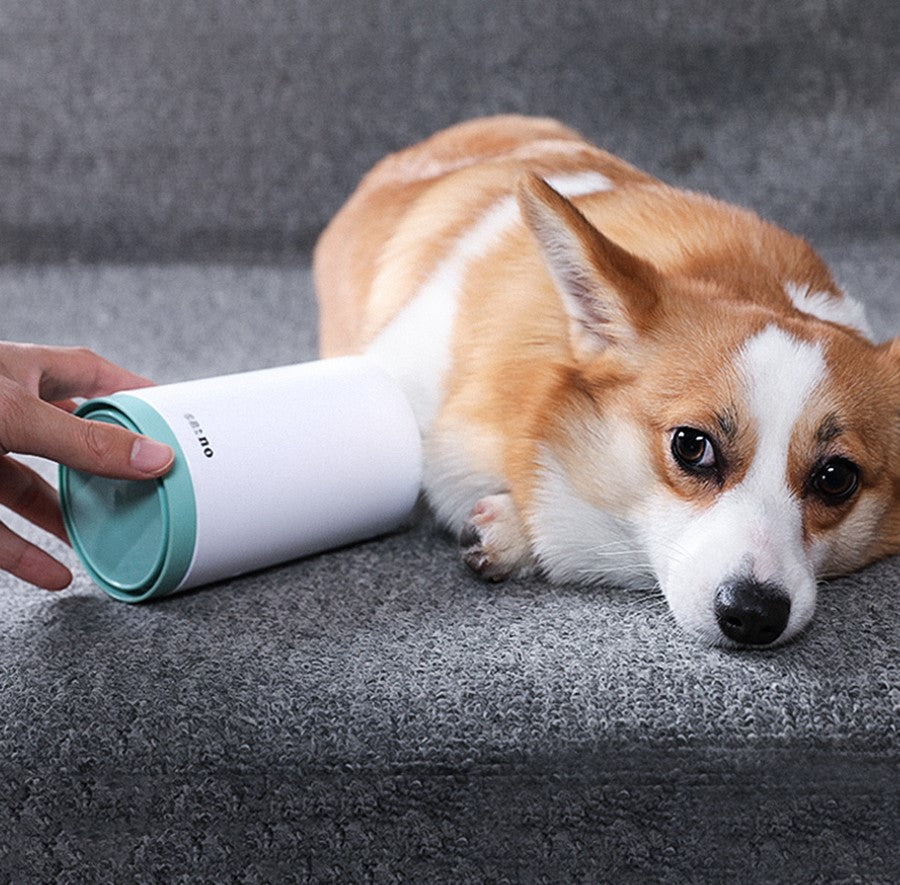 Cleaning a dog's paw with the cup