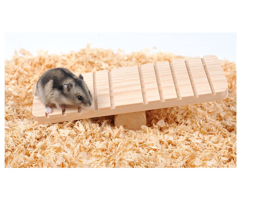 Hamster on the seesaw