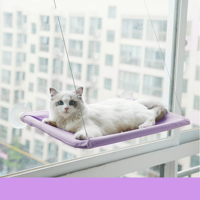 Cat relaxing in a window hammock
