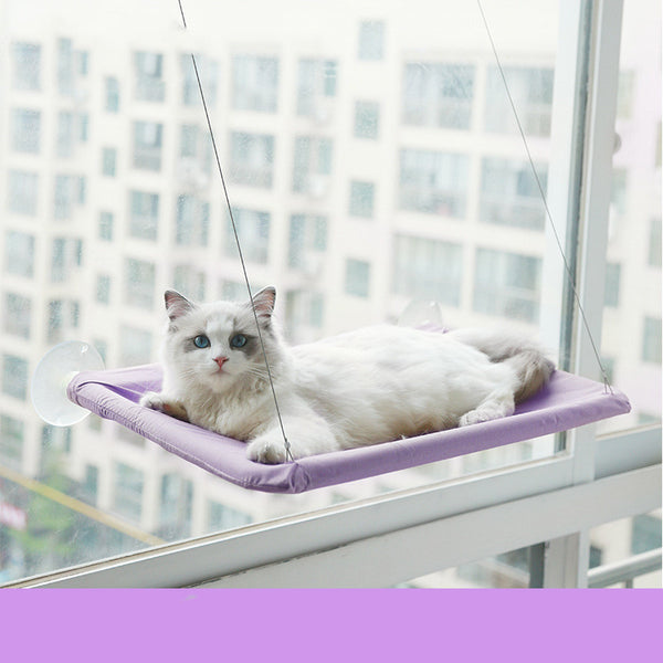 Cat relaxing in a window hammock