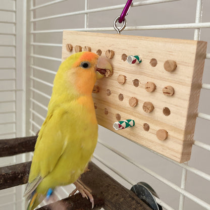 Wooden Cork-Plug Foraging Board for Parrots