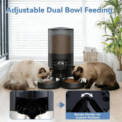 Two cats eating from the dual bowls