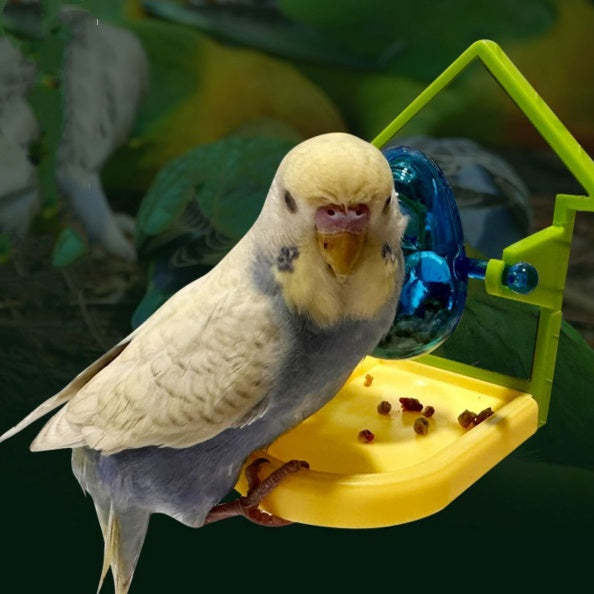 Budgie using the foraging wheel toy