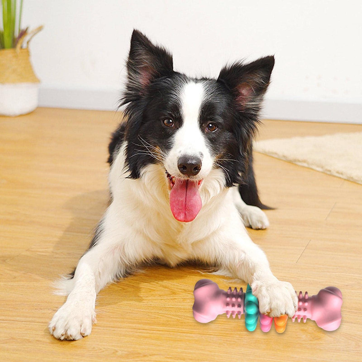 TPR Chew Bone with Spinning Rings