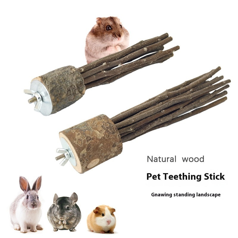 Apple-wood chew stick bundle with a hamster