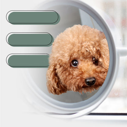 Grooming Hammock for Nail Trims