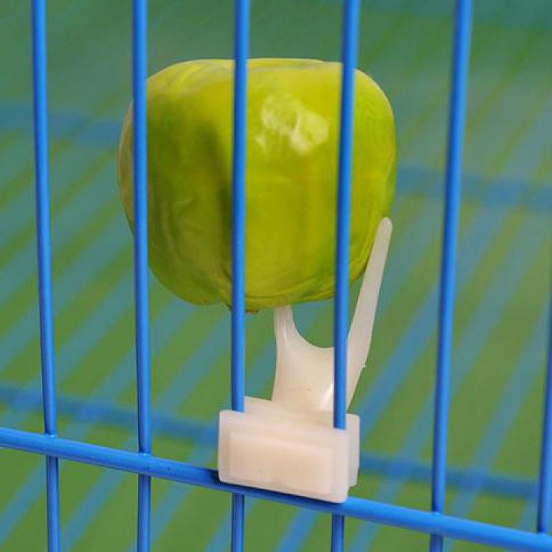 Clip-On Fruit Holder Forks for Bird Cages