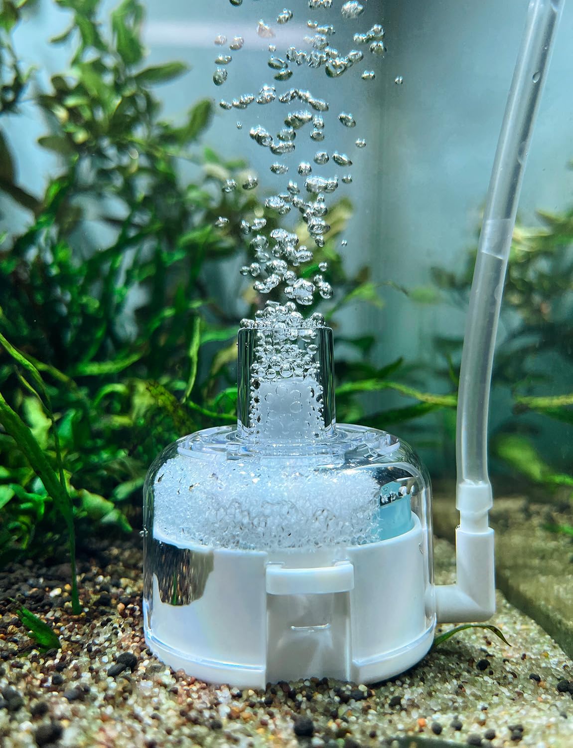 Air-Driven Mini Sponge Filter for Small Tanks